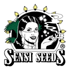Big Bud Feminised Seeds