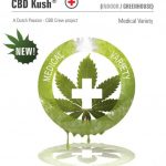 CBD Kush Feminised Seeds