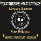 Mephisto Genetics Sour Bubblin' Crack  Fem Seeds (Limited edition)