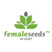 Auto AK Feminised Seeds