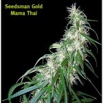 Mama Thai Regular Seeds