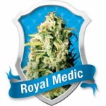 Royal Medic Feminised Seeds