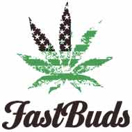 Fast Buds