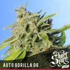Shortstuff seeds Auto Gorilla OG feminised