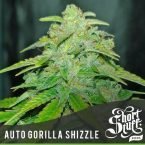 Shortstuff seeds Auto Gorilla Shizzle feminised