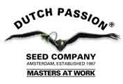 Dutch Passion