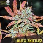 Blackskull Auto Zkittlez feminized seeds