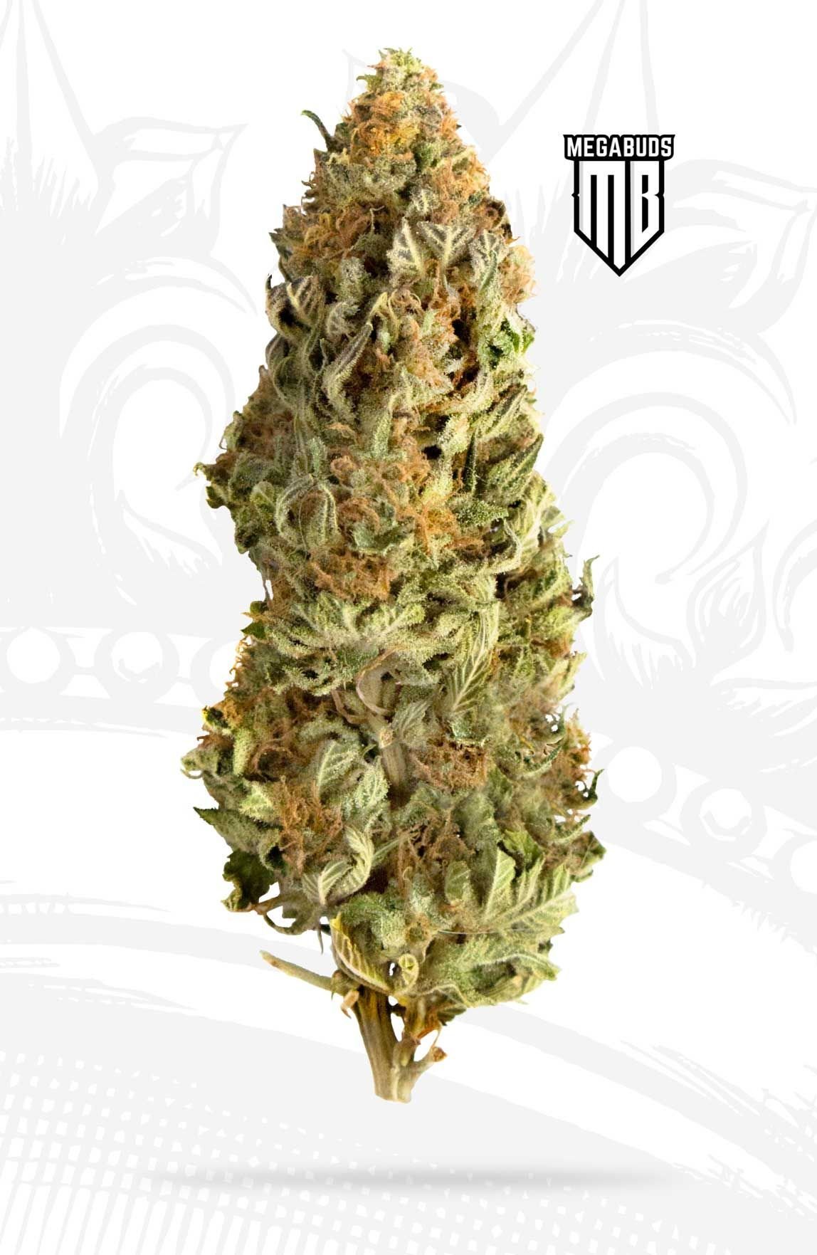 mega cbd mega cbd